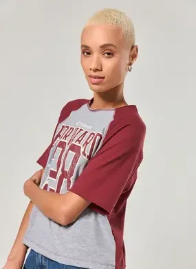 Camiseta Raglan Cinza E Vinho Forward 28