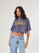 Camiseta Cropped Florida Com Glitter