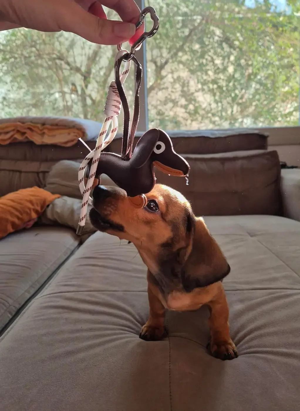 Chaveiro Cachorrinho Salsicha