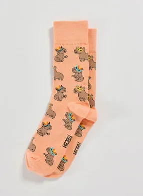 Meia Laranja Capivara Carnaval