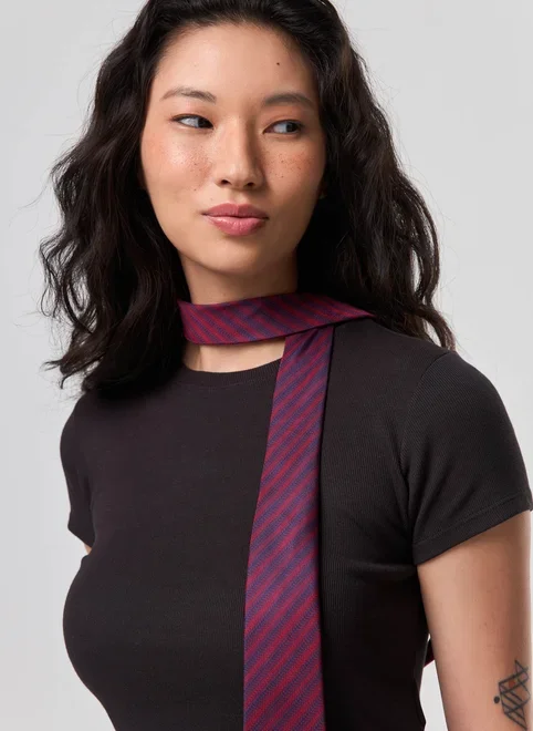 Gravata Listrada Vermelho E Azul