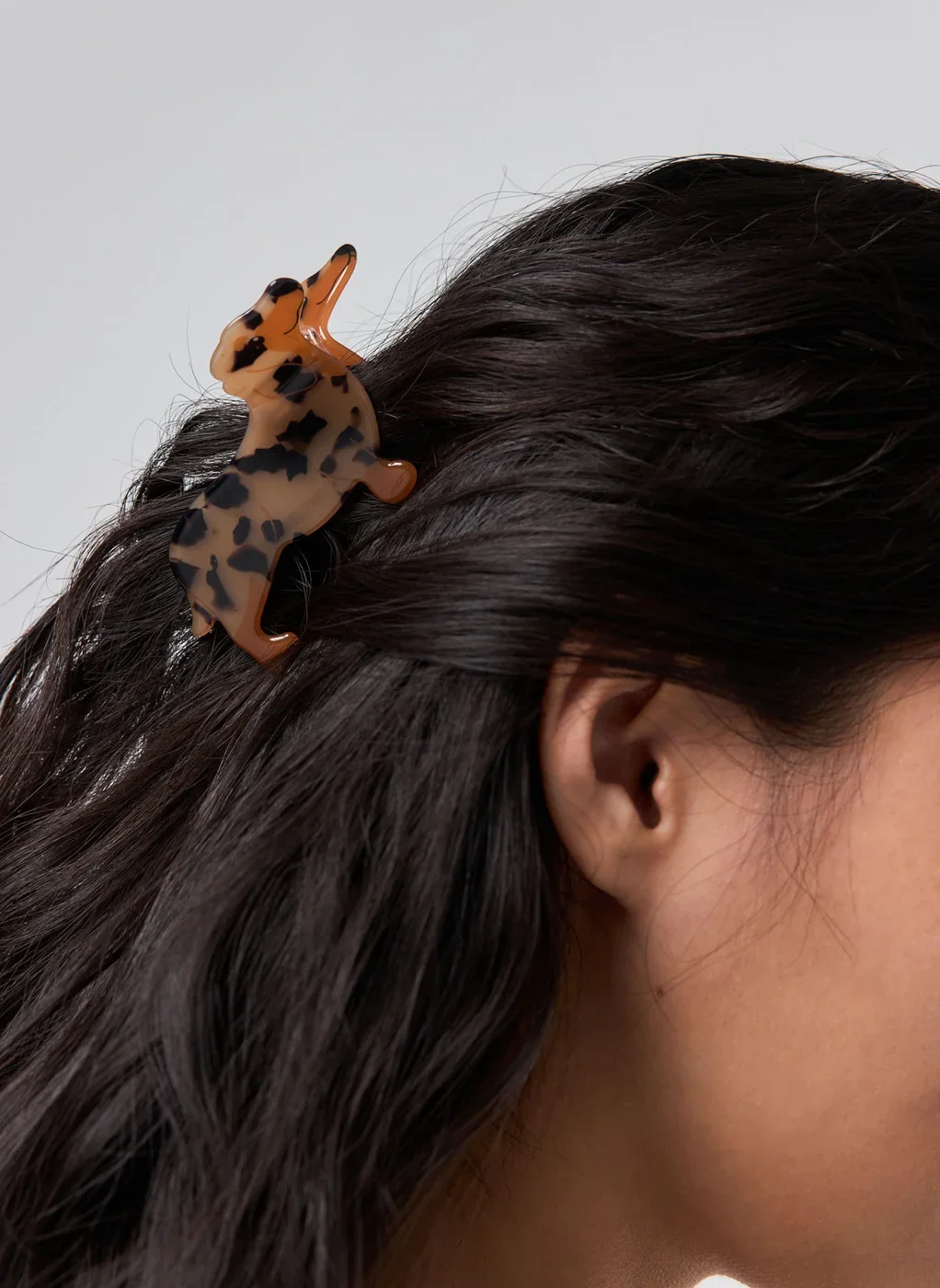 Piranha Cachorro Salsicha