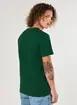 Camiseta Básica Cotton